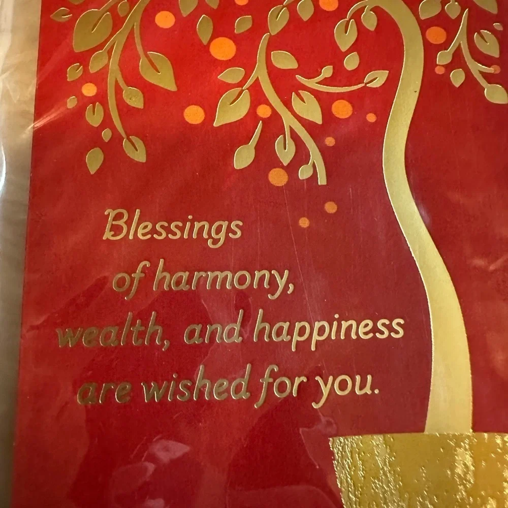 🩵5/$8 Red and Gold Decorative money Card